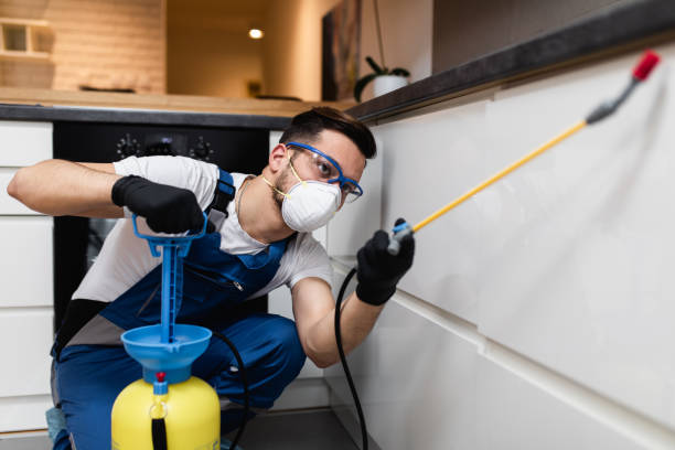 Best Pest Removal Services  in Linln Park, CO