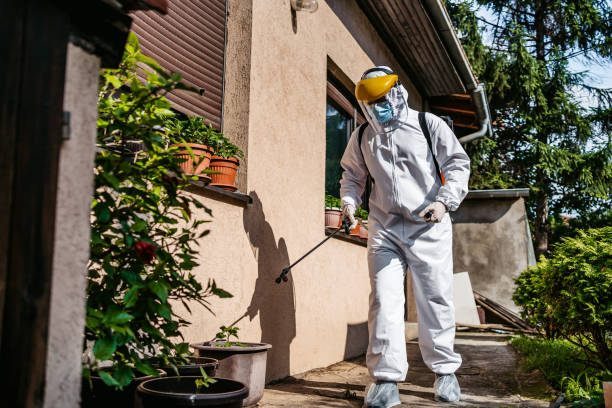 Best Insect Control  in Linln Park, CO