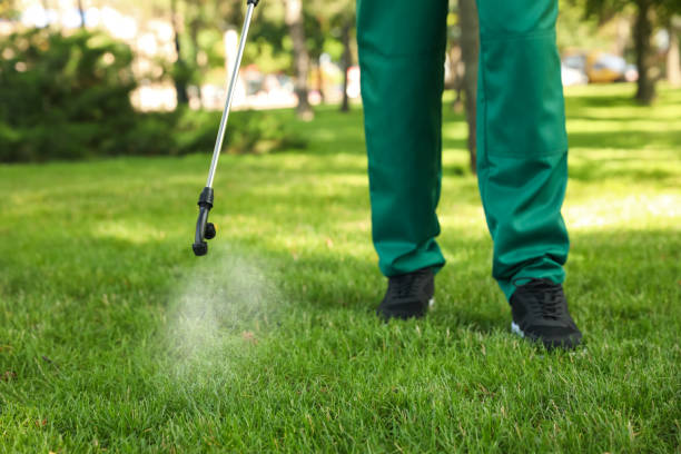 Best Pest Removal Services  in Linln Park, CO