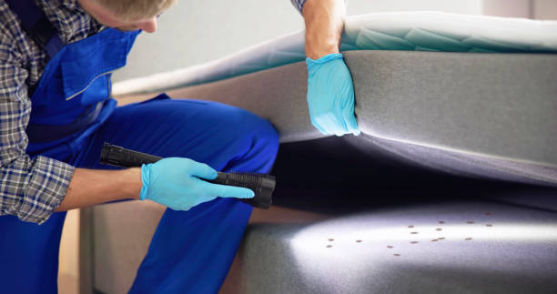 Best Best Pest Control Companies  in Linln Park, CO