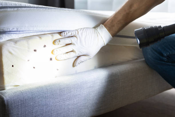 Best Commercial Pest Control Services  in Linln Park, CO