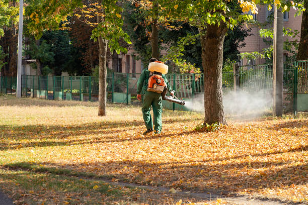 Best Affordable Pest Control Services  in Linln Park, CO