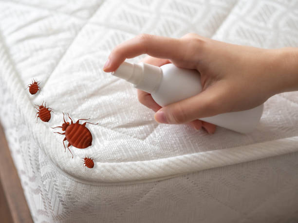 Best Cockroach Control Services  in Linln Park, CO