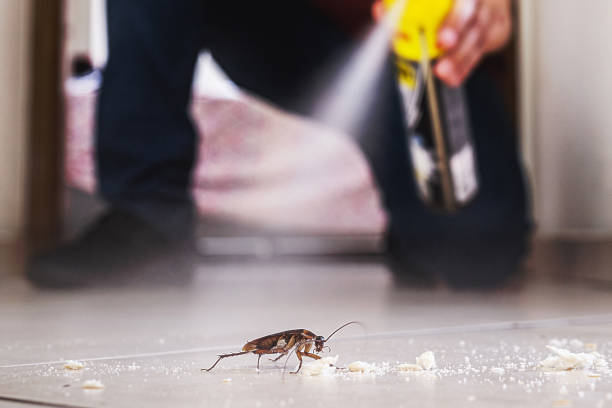 Best Exterminator Services  in Linln Park, CO