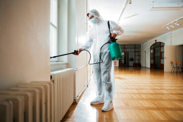 Best Mosquito Control Services  in Linln Park, CO